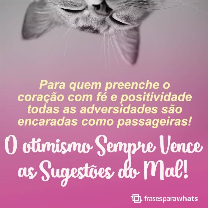 Frases de Positividade para Evoluir o Pensamento