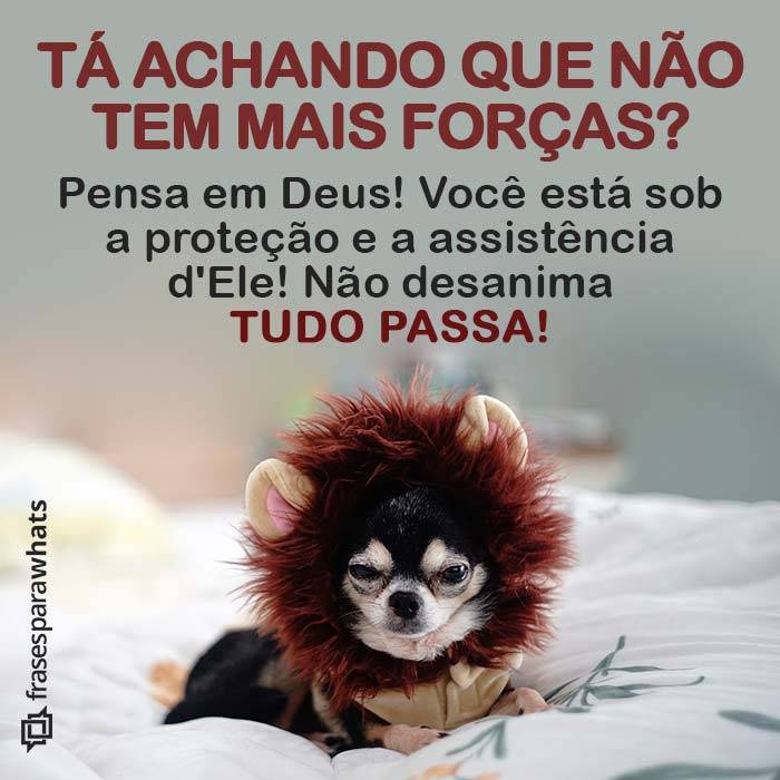 Frases de Força cheias de Confiança