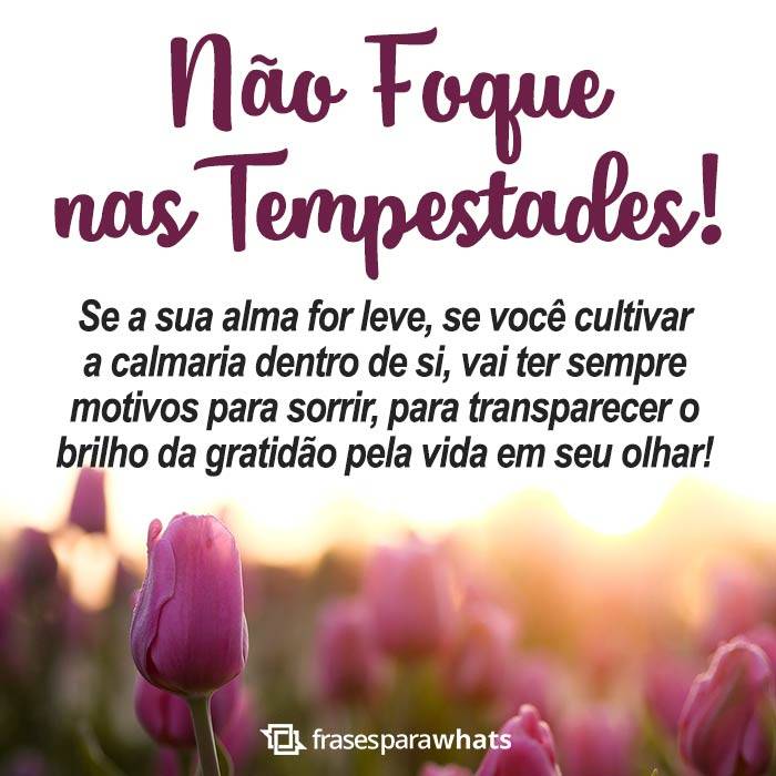 Frases de Positividade para Evoluir o Pensamento