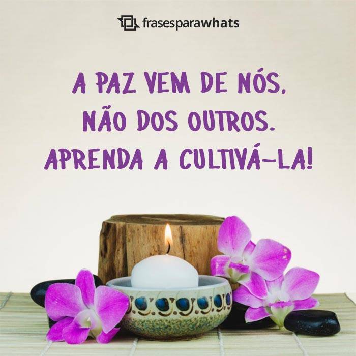 Frases de Paz para Status