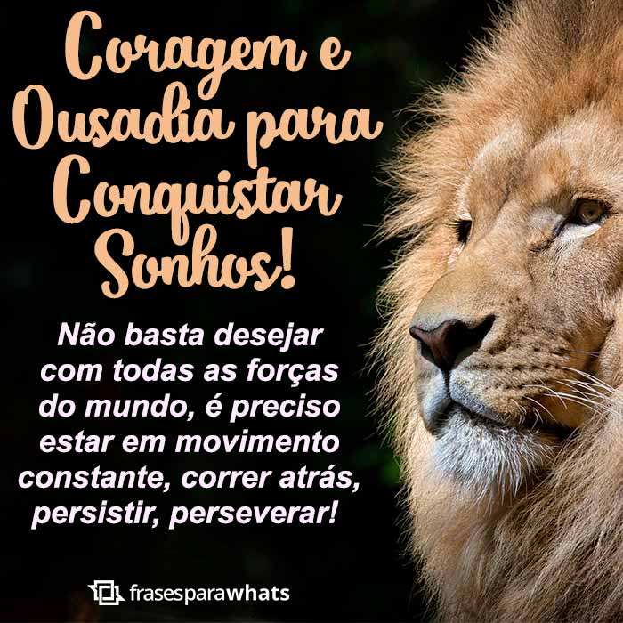 Frases de Motivação: O importante é Acreditar!