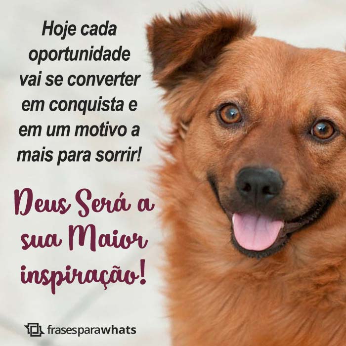 Frases de Motivação: O importante é Acreditar!