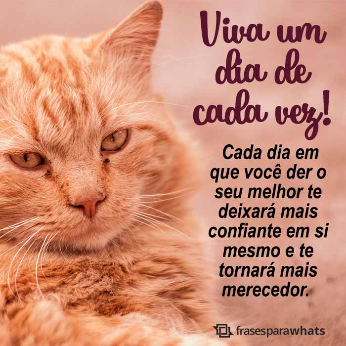 Frases de Motivação: O importante é Acreditar!