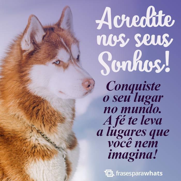 Frases de Motivação: O importante é Acreditar!