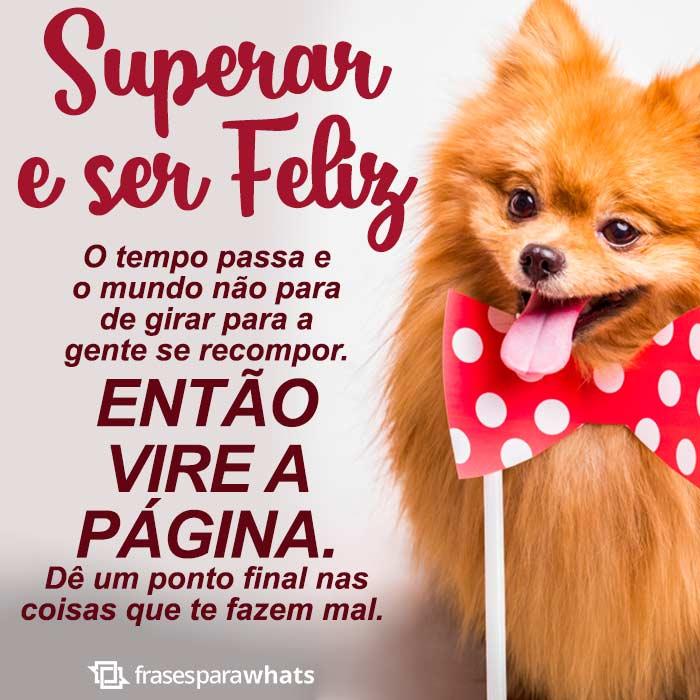 Frases de Motivação: O importante é Acreditar!