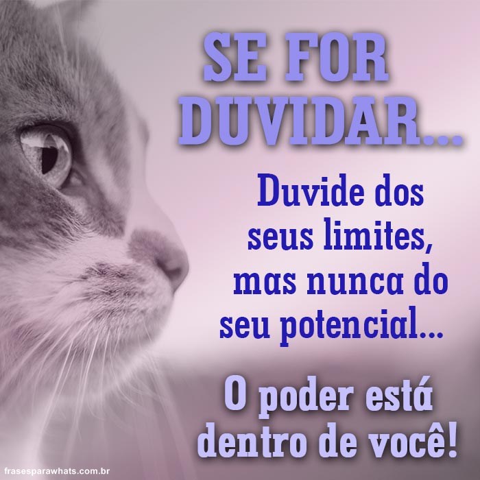 Frases de Motivação: O importante é Acreditar!