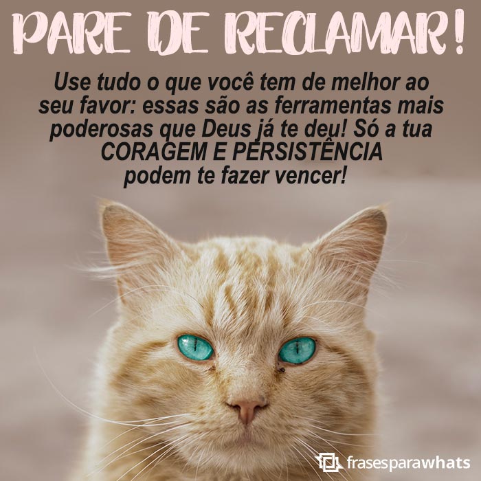 Frases de Motivação: O importante é Acreditar!