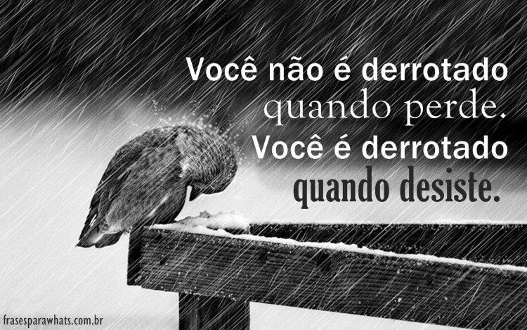 Frases de Motivação: O importante é Acreditar!