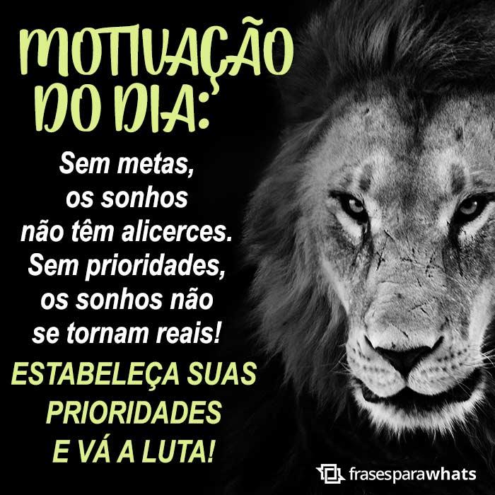 Frases de Motivação: O importante é Acreditar!