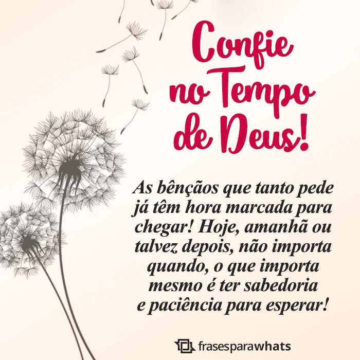 Frases de Motivação: O importante é Acreditar!