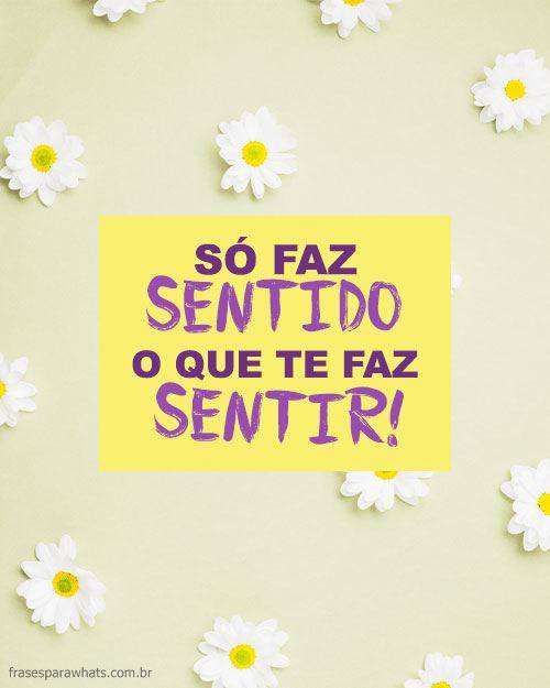 Frases para Status +652 Opções Curtas e Criativas para Whatsapp