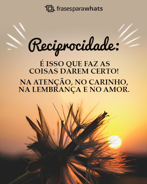 Frases de Reciprocidade para Priorizar o Melhor para Si