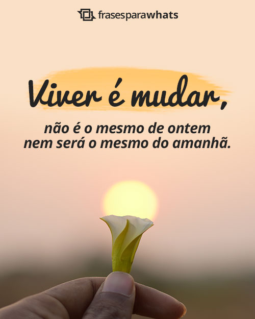 Frases para Recados do Whatsapp - Frases Para Perfil