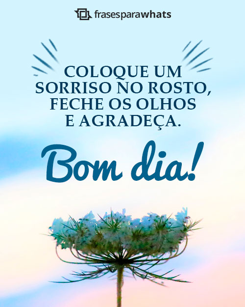 Frases de Bom Dia para Status +178 Opções Prontas para Compartilhar