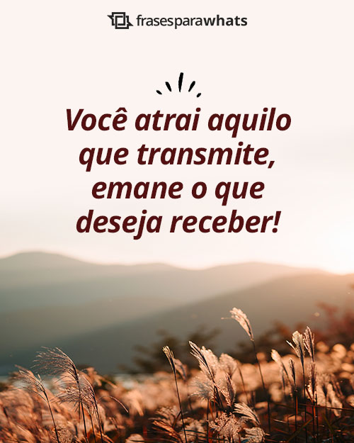 Frases de Positividade para Evoluir o Pensamento