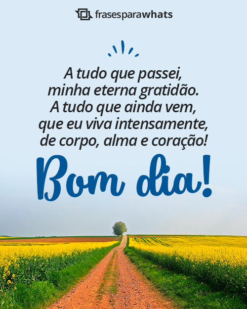 Frases de Bom Dia para Status +178 Opções Prontas para Compartilhar