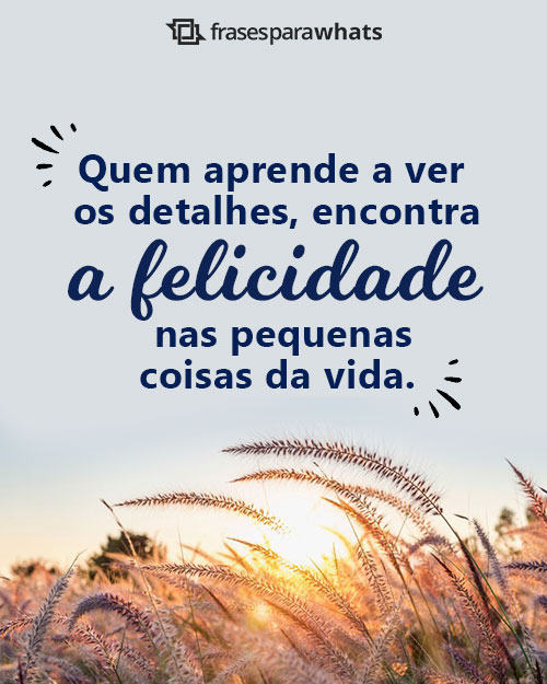 Frases para Recados do Whatsapp - Frases Para Perfil