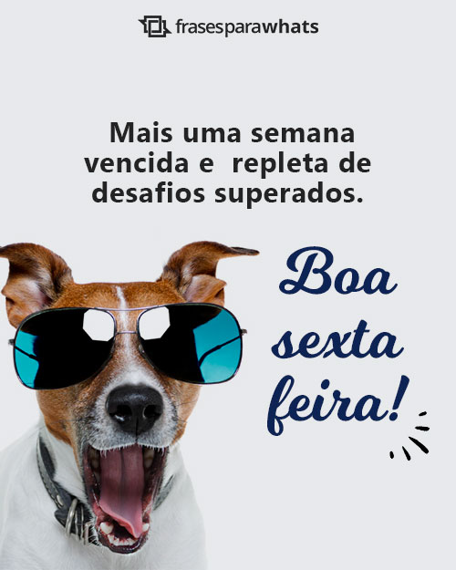 Frases de Sexta Feira para Recepcionar o Fim de Semana!