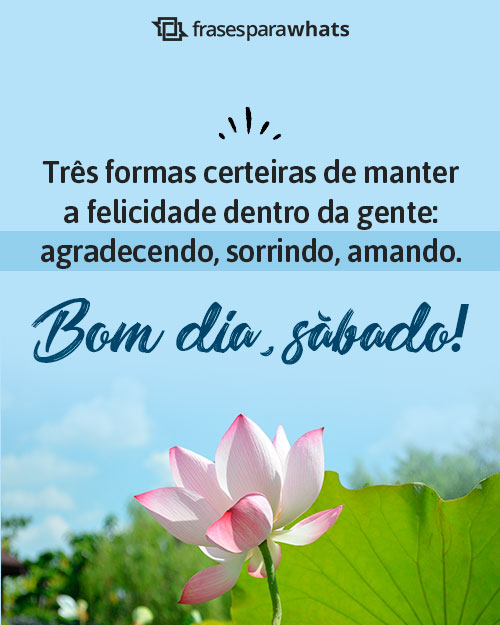 Mensagens de Bom Dia Sábado +62 Opções para Começar o Dia com Boas Energias