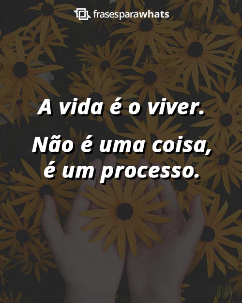 Frases para Recados do Whatsapp - Frases Para Perfil