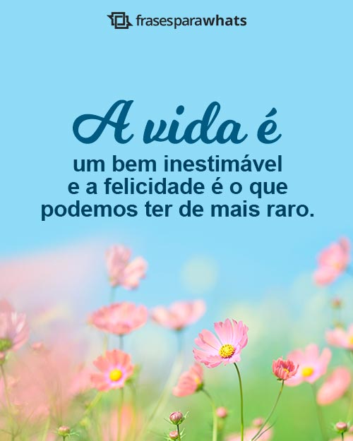 Frases de Felicidade para Status