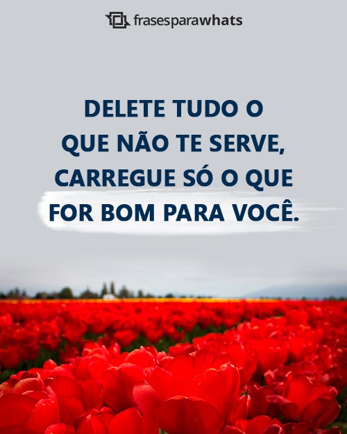 Frases de Positividade para Evoluir o Pensamento