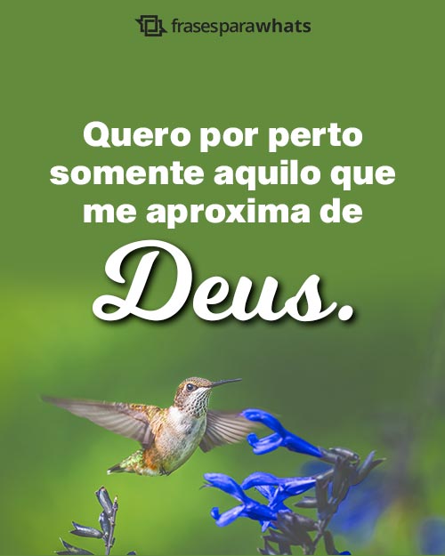 Frases para Status de Deus +143 Opções Abençoadas para Compartilhar