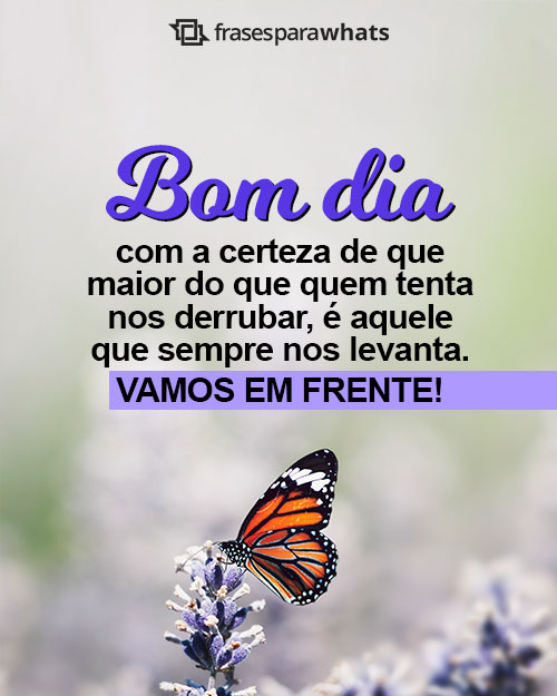 Frases de Bom Dia para Status +178 Opções Prontas para Compartilhar