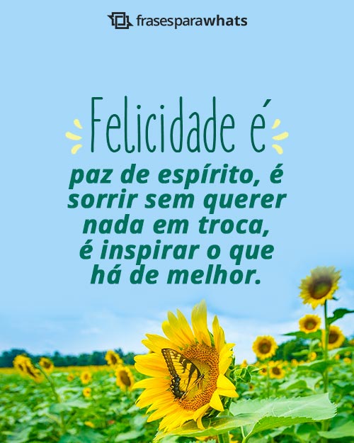 Frases de Felicidade para Status