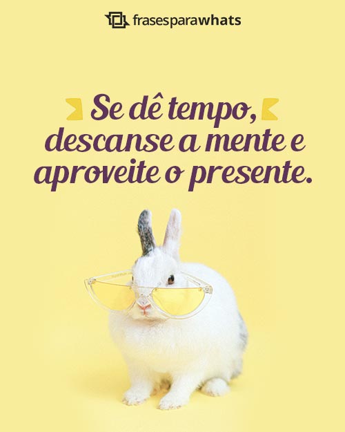 Frases de Positividade para Evoluir o Pensamento