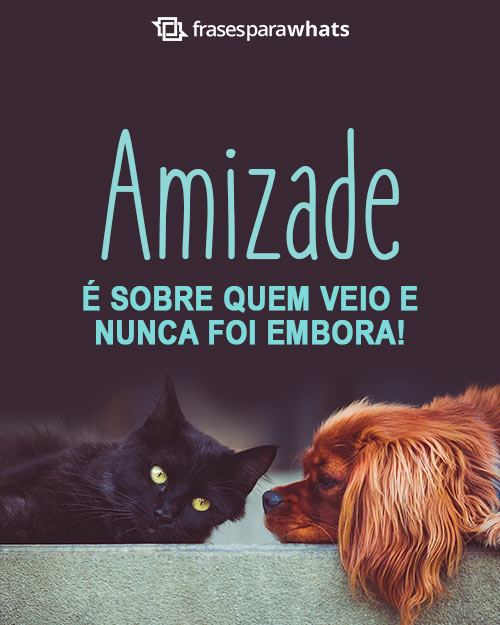 Status de Amizade: 150 Frases de Amizade para Status