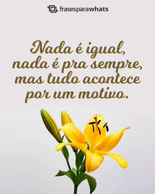 Frases de Positividade para Evoluir o Pensamento