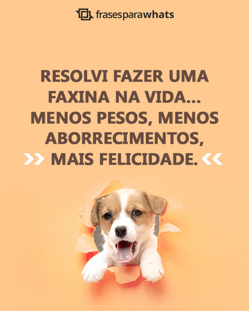 Frases de Felicidade para Status