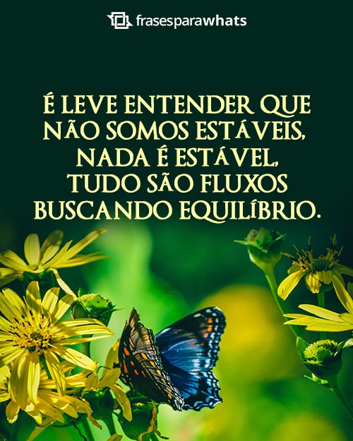 Frases Bonitas para Status