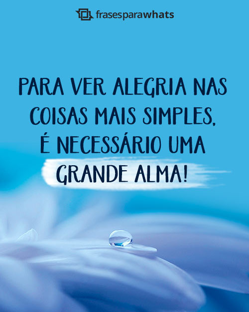 Frases Lindas para Status