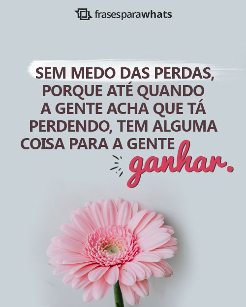 Frases Lindas para Status