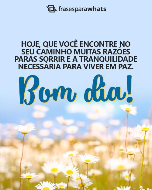 Frases de Bom Dia com Carinho: Compartilhe Doces Mensagens de Bom Dia