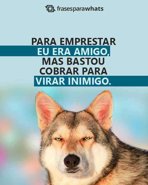 Frases para Mau Pagador