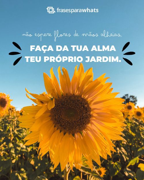 Frases para Perfil