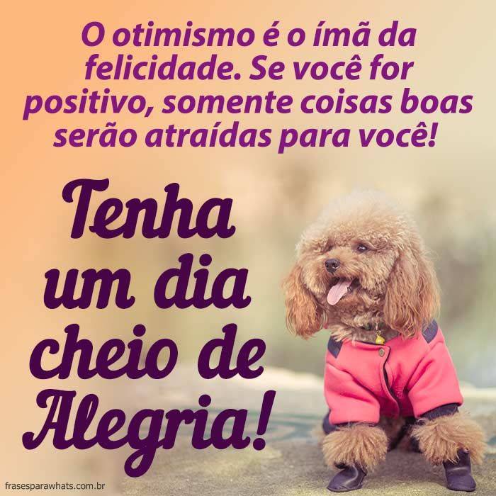 +50 Frases de Felicidade