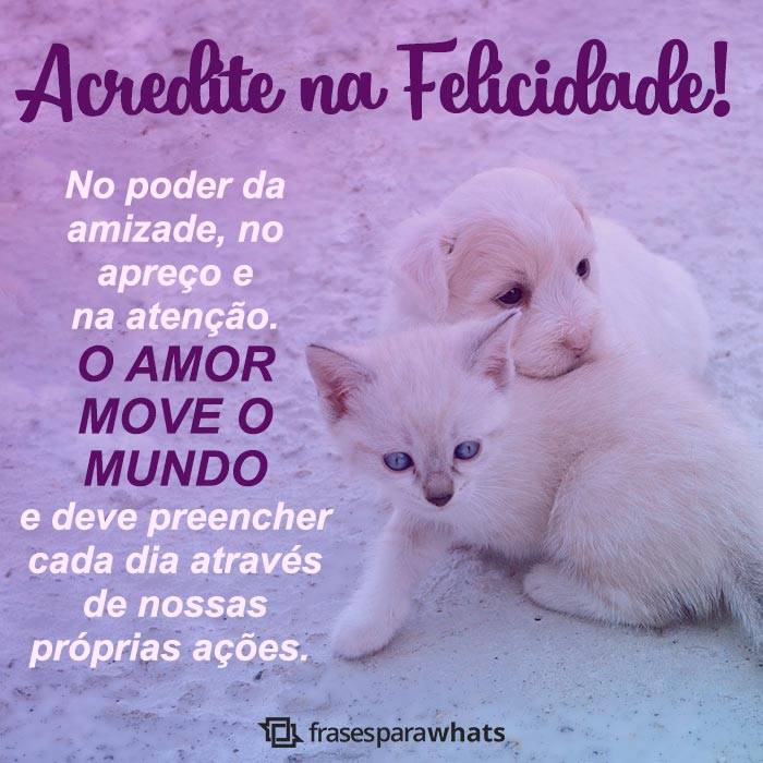 +50 Frases de Felicidade