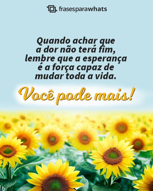 Frases Para Setembro Amarelo