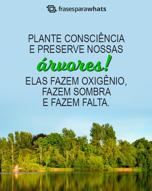 Frases para o Dia da Árvore