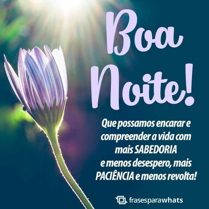 Mensagens de Boa Noite +60 Opções de Frases Prontas para Compartilhar