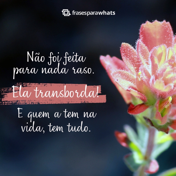 Frases de Personalidade Forte e Feminina