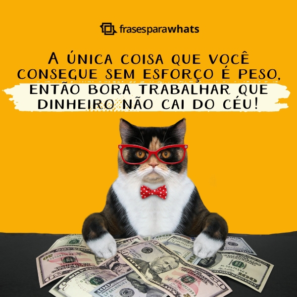 Mensagens Motivacionais Engraçadas