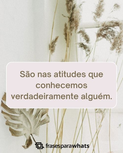 Frases de Atitude