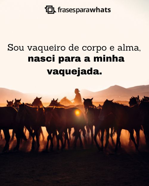 Frases de Vaqueiro