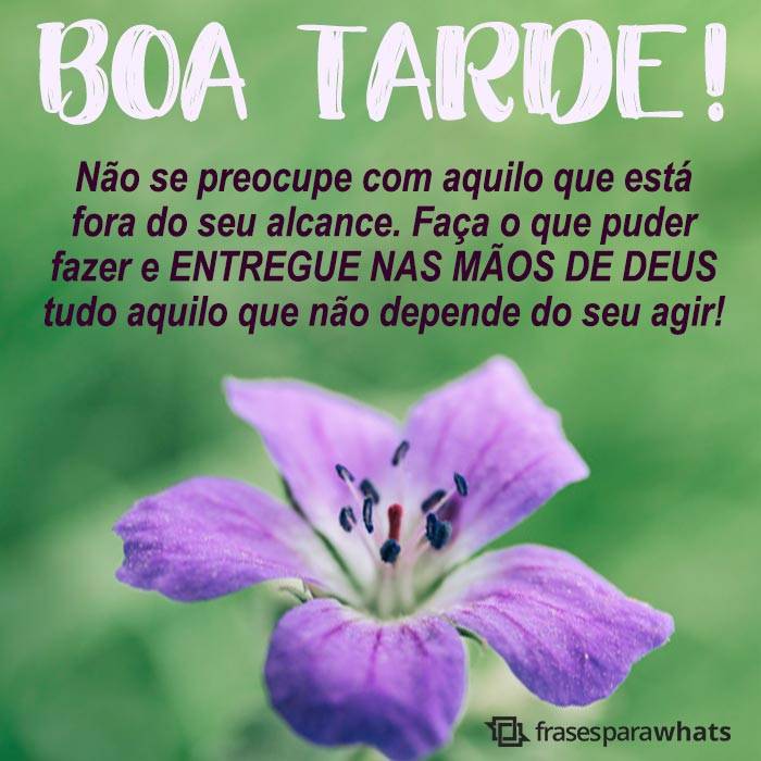 Mensagens de Boa Tarde +46 Opções Para Te Inspirar na Hora de Compartilhar