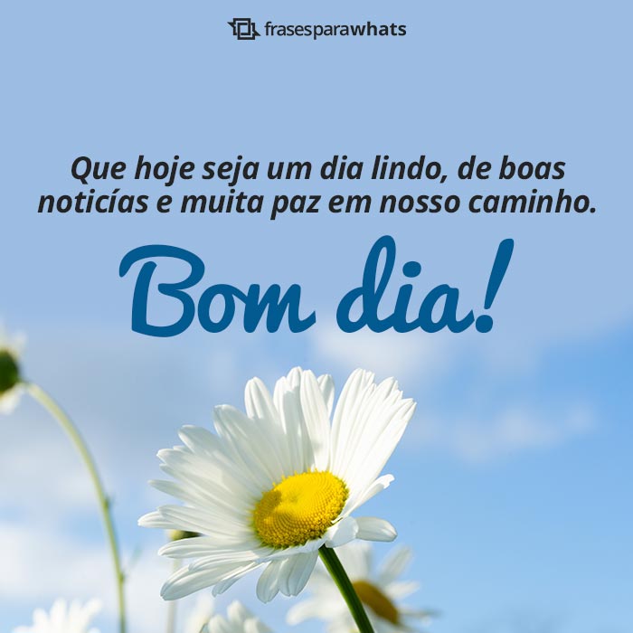 Mensagens de Bom Dia +40 Lindas Opções Prontas para Compartilhar